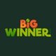 BigWinner Review